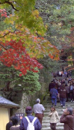 金剛輪寺の秋
